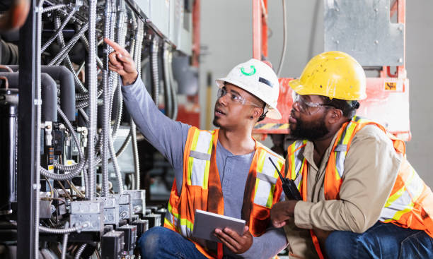 Best Electric Panel Repair  in Tomah, WI